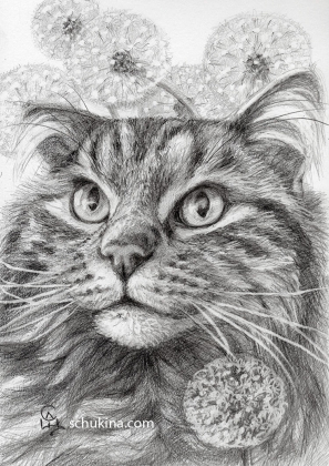 Fonzie amog white dandelion puffs / 250048